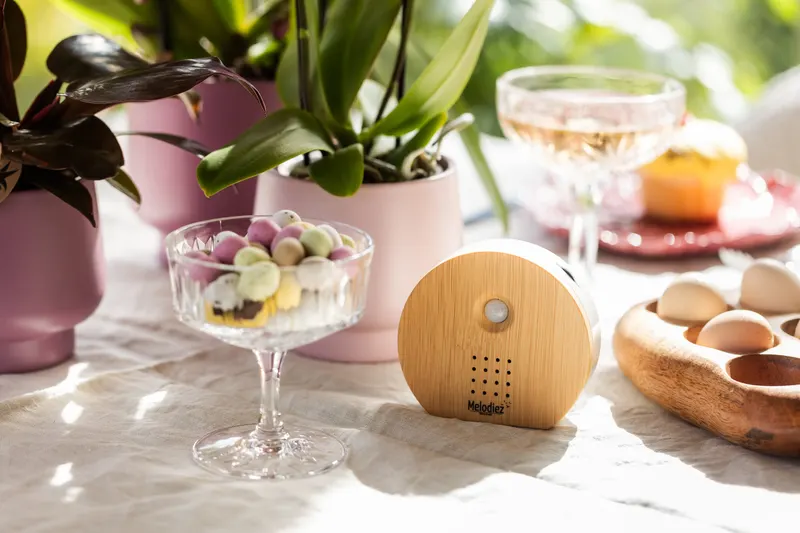 Een rond Melodiez boxje in houtlook op een gezellige tafel tussen planten en servies